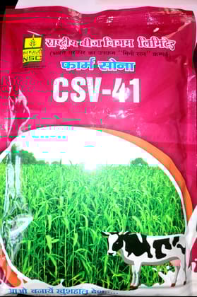 NSC Sorghum CSV-41 Truthfull Labelled Seed Seed 1 Kg Pouch