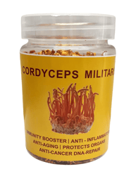 Cordyceps Militaris (Dried Whole body) (pack of 2)
