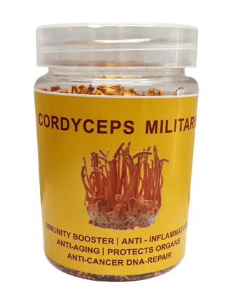 Cordyceps Militaris (Dried Whole body) (pack of 2)