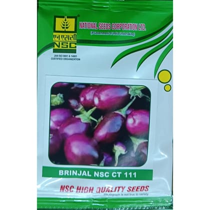 NSC Brinjal Variety NSC CT 111 Vegetable Kitchen Garden Packets 12 gm Truthful Labelled Seed (4 Pouches)