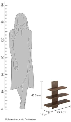 Solimo Behue Wooden Wall Shelf - Walnut