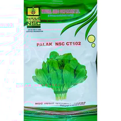 NSC Palak Variety NSC CT 102 Vegetable Kitchen Garden Packets 60 gm Truthful Labelled Seed (4 Pouches)