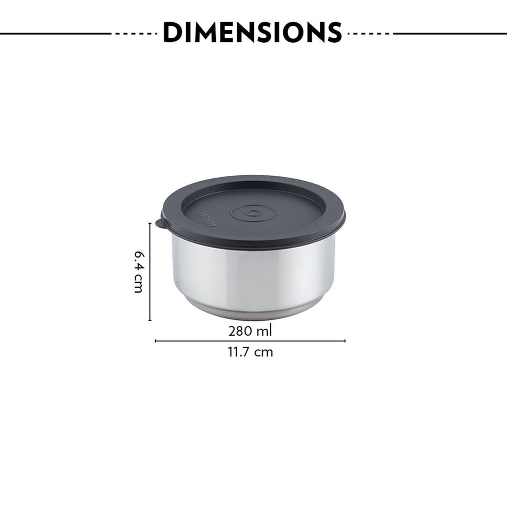 Borosil Carry Fresh Stainless Steel Lunchbox | 3pc Set (280ml x 2 + 475ml x 1 Chapati Dabba)