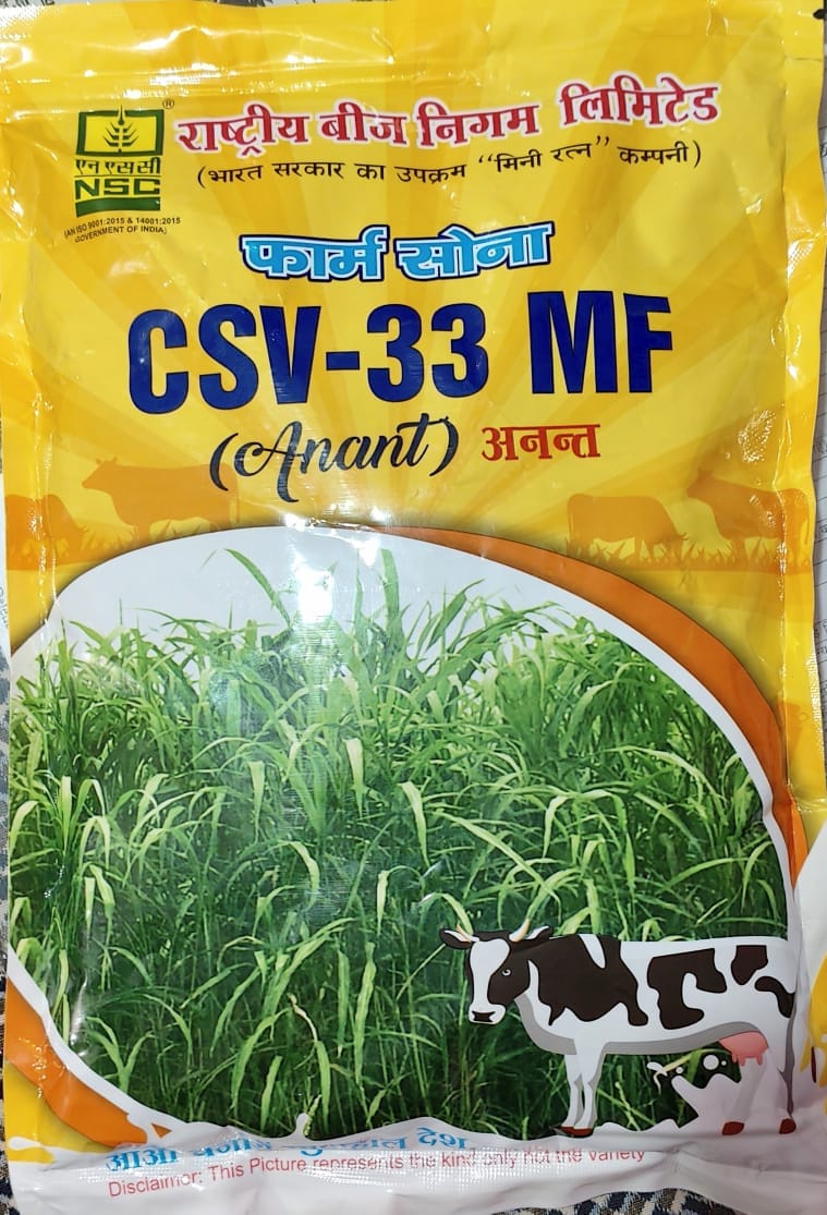 NSC Fodder Sorghum CSV-33 Variety, 1 Kg Certified Seed Bag