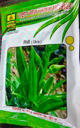 NSC Bhindi Arka Anamika TL