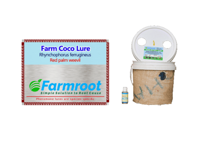 FARM RED PALM WEEVIL(COCO LURE) WITH BUCKET TRAP (PACK OF 20)