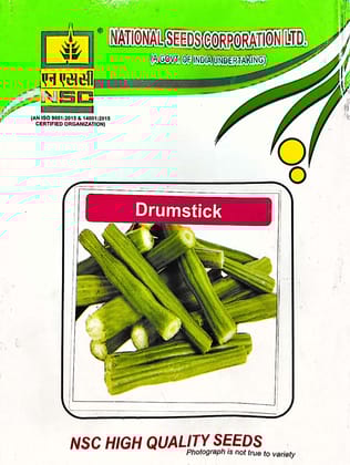 NSC DRUIMSTICK    PKM-1  T/L    50 GM