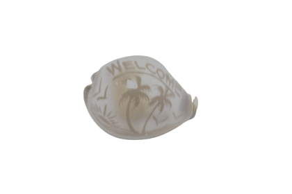 Hand-Carved 'Welcome' Seashell with Palm Tree Design Hand-Carved 'Welcome' Seashell with Palm Tree Design
