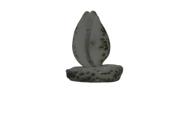 Brand seal
