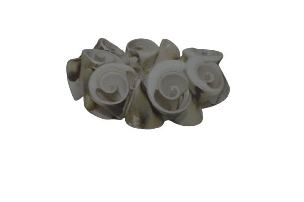 Seashell-Inspired Sculptural Bracelet