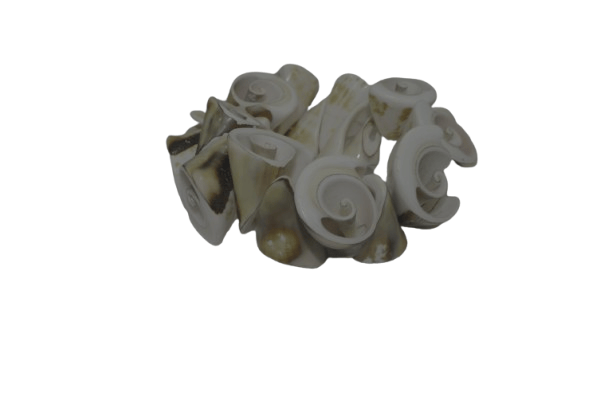 Seashell-Inspired Sculptural Bracelet