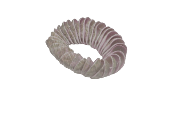 Organic Ring Sculpture - Unique Wall Decor