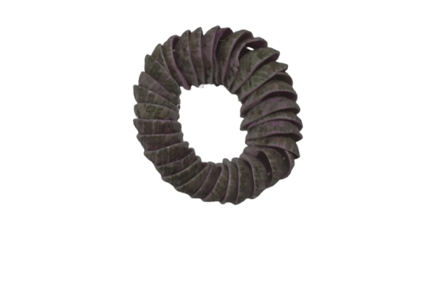 Organic Ring Sculpture - Unique Wall Decor