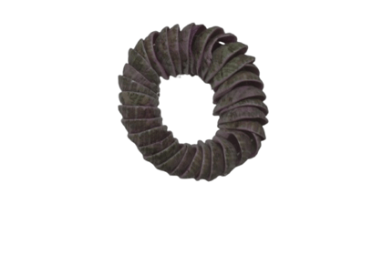 Organic Ring Sculpture - Unique Wall Decor