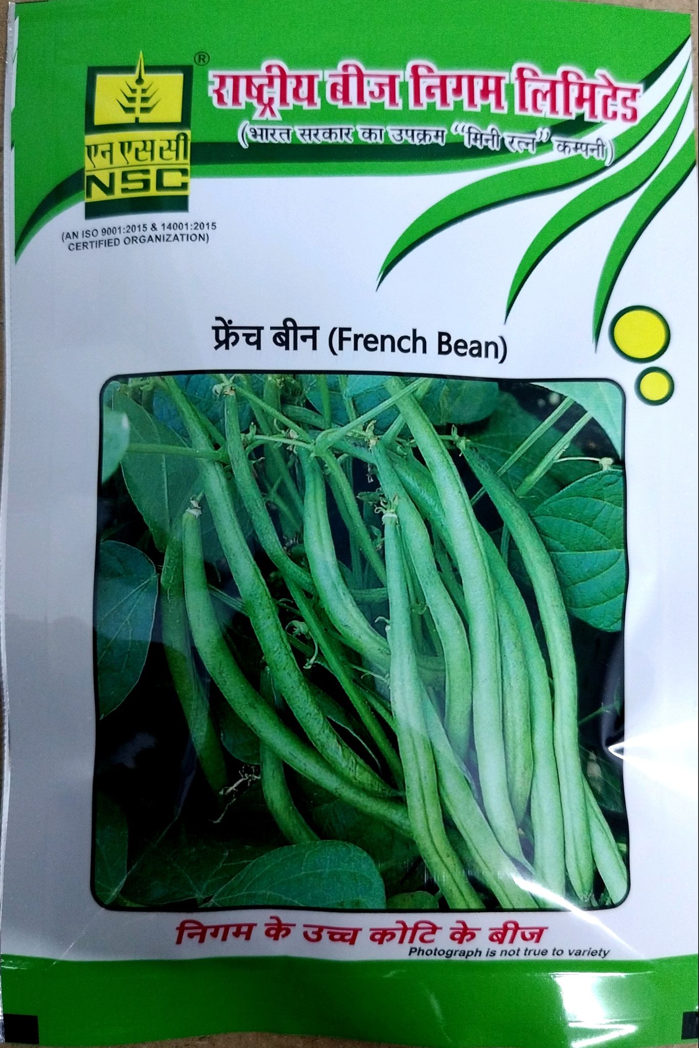NSC French bean Seed, Variety: Contendor, 50gm