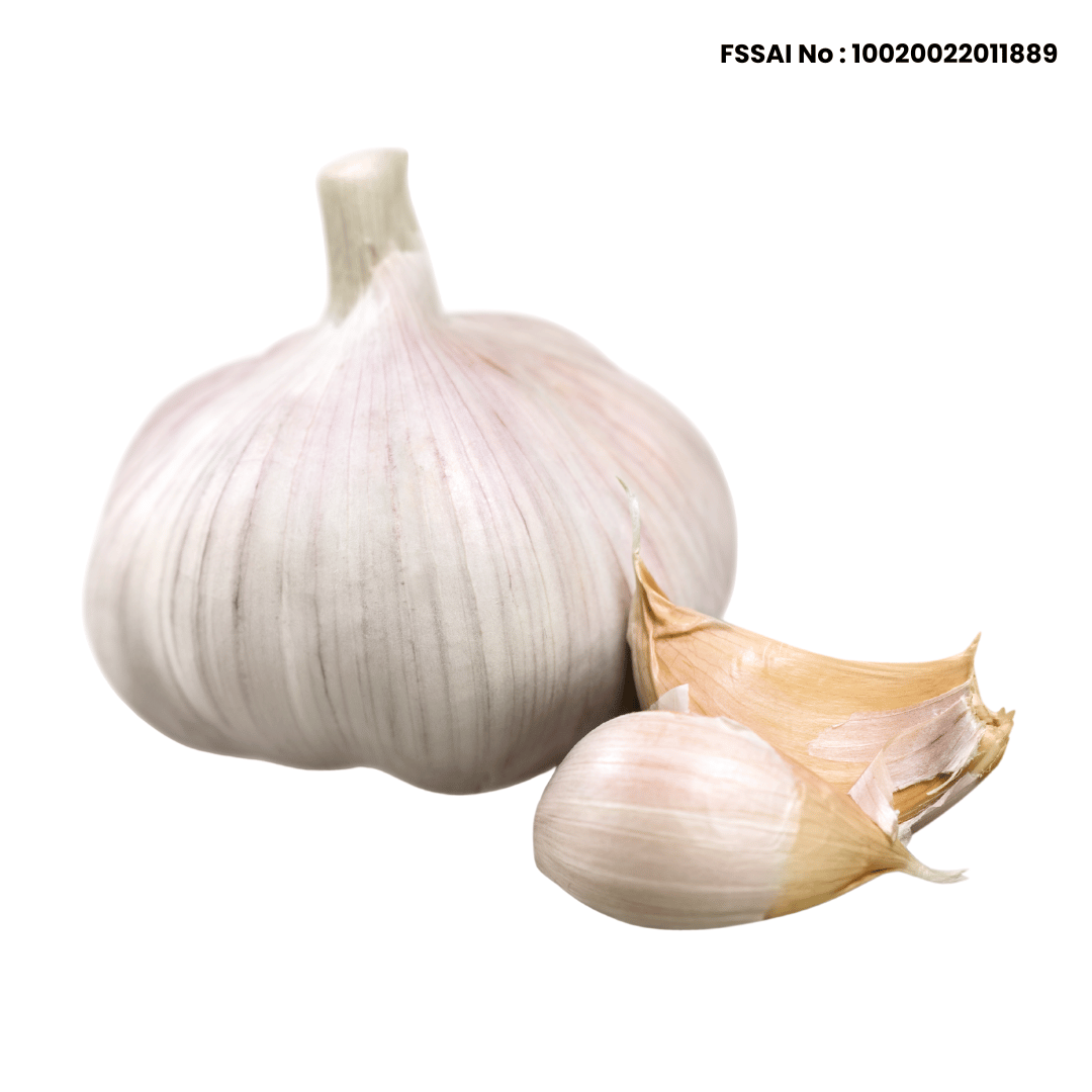 Garlic