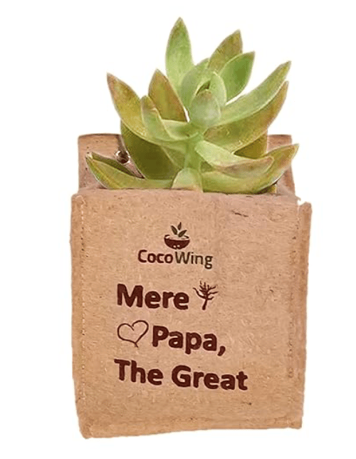 Wall Mounted Jute Grow Bag | Ecofriendly 'Mere Papa The Great' by CocoWing