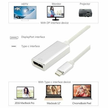 Type C Male to DP Female Converter (Compatible with Mac, Computer, PC, Chromebook, MacBook, Silver, One Cable)