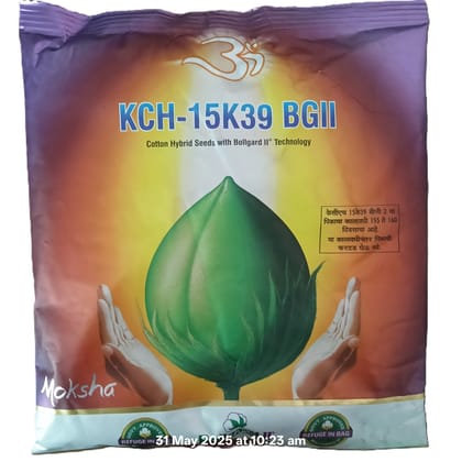 KCH-15K39 BGII Cotton Hybrid Seeds with Bollgard II Technology