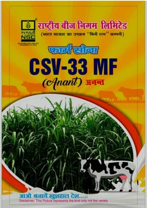 NSC Fodder Sorghum CSV -33 MF TL-500gm