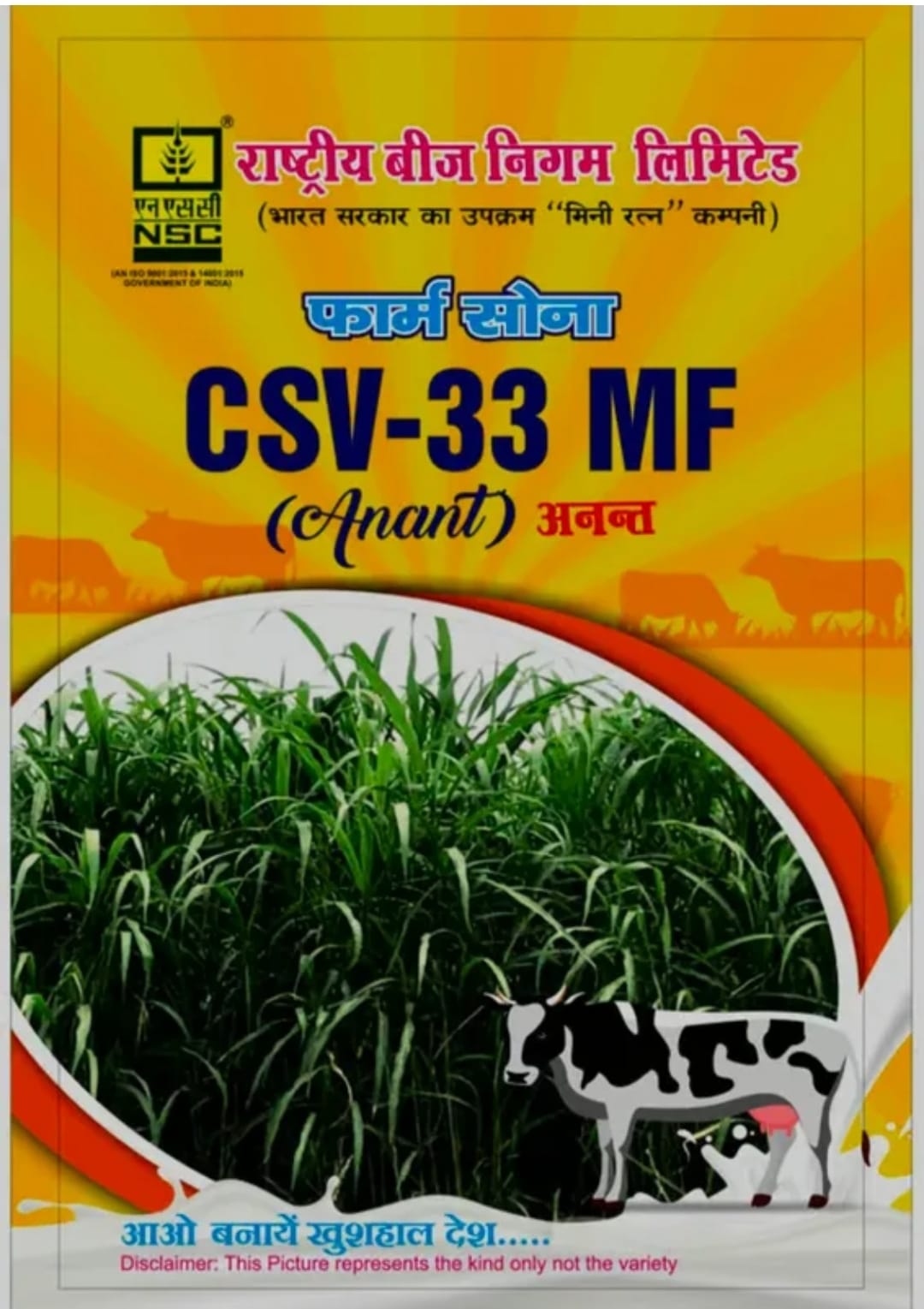 NSC Fodder Sorghum CSV -33 MF TL-500gm