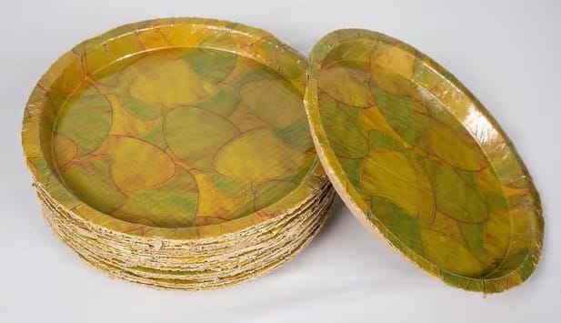 Eco-Friendly Areca Palm Leaf Plates - Biodegradable & Compostable