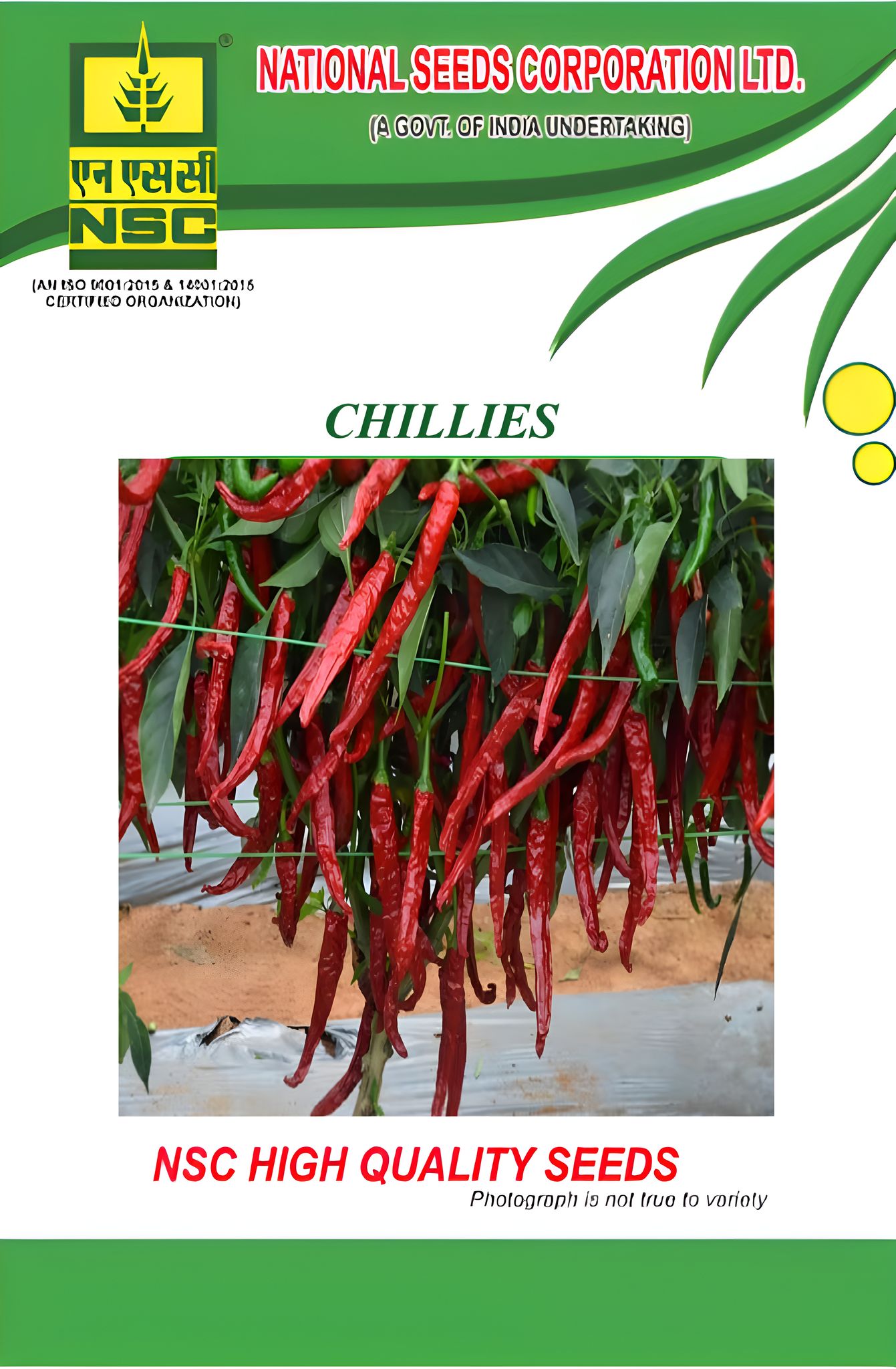 NSC Hyb. Chilli - Arka Meghana ; 10 gm