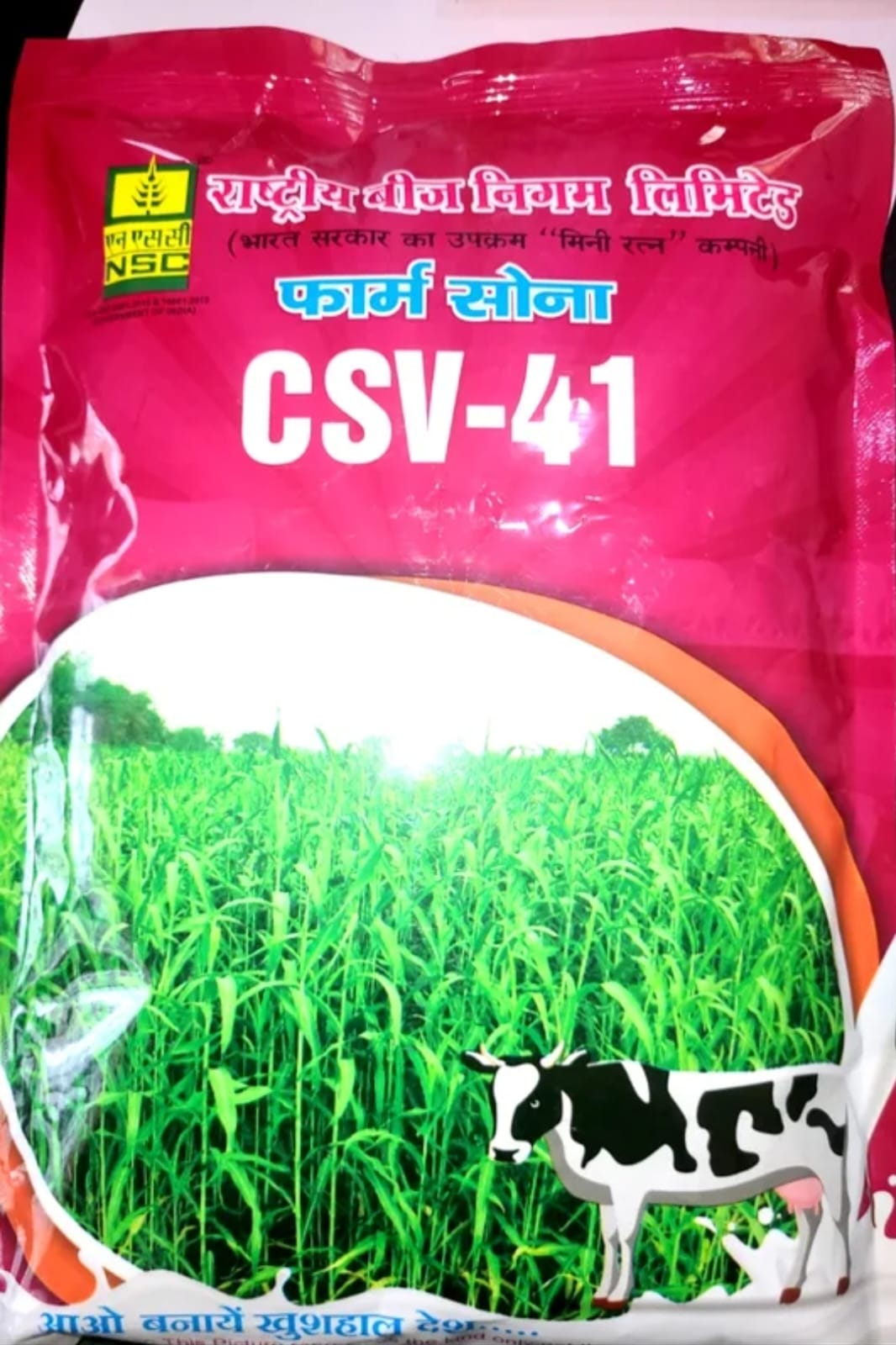 NSC Sorghum CSV-41 TL Seed 1 Kg Packet