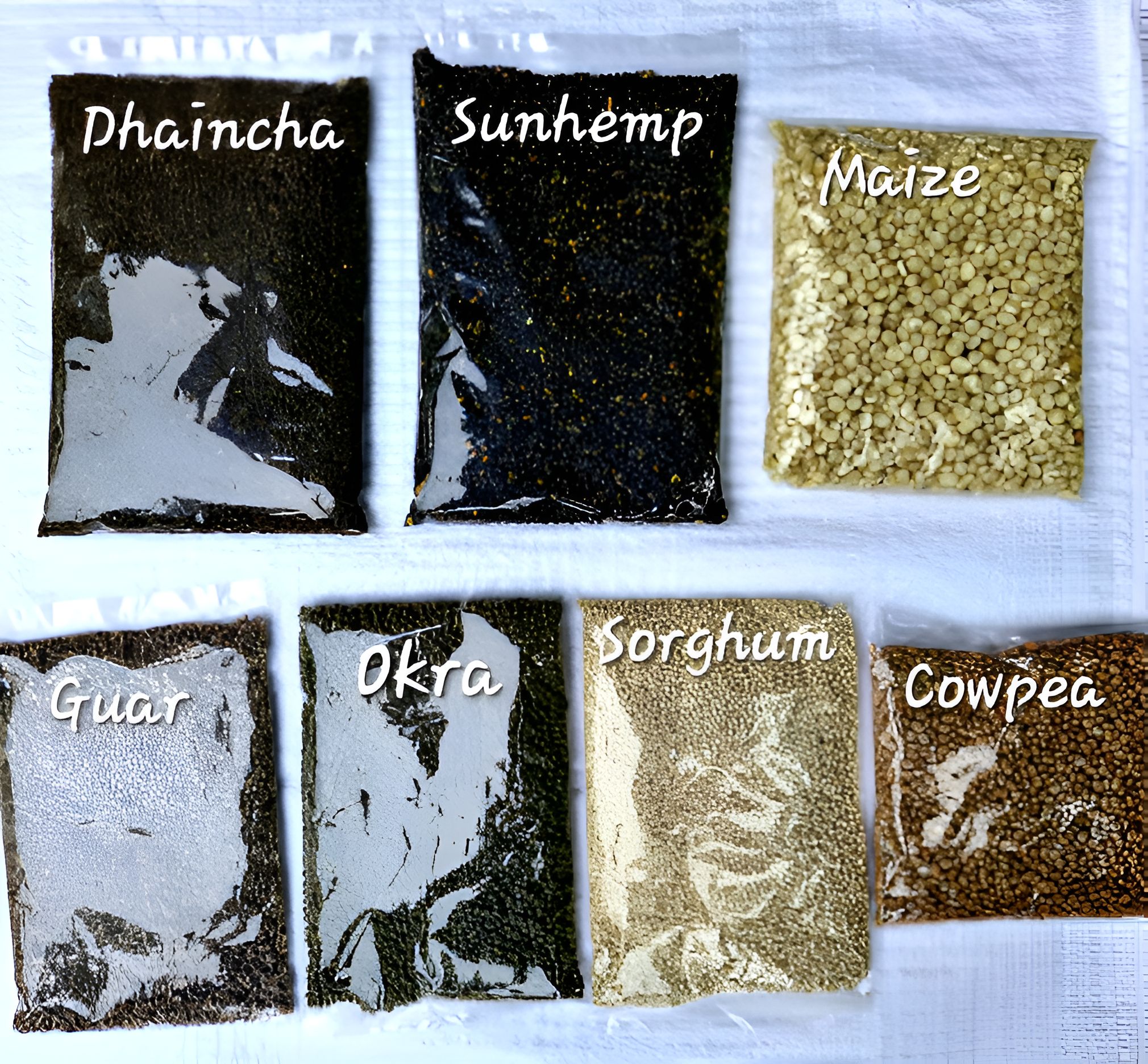 NSC Green Manure Mixed Crop Seed Kit