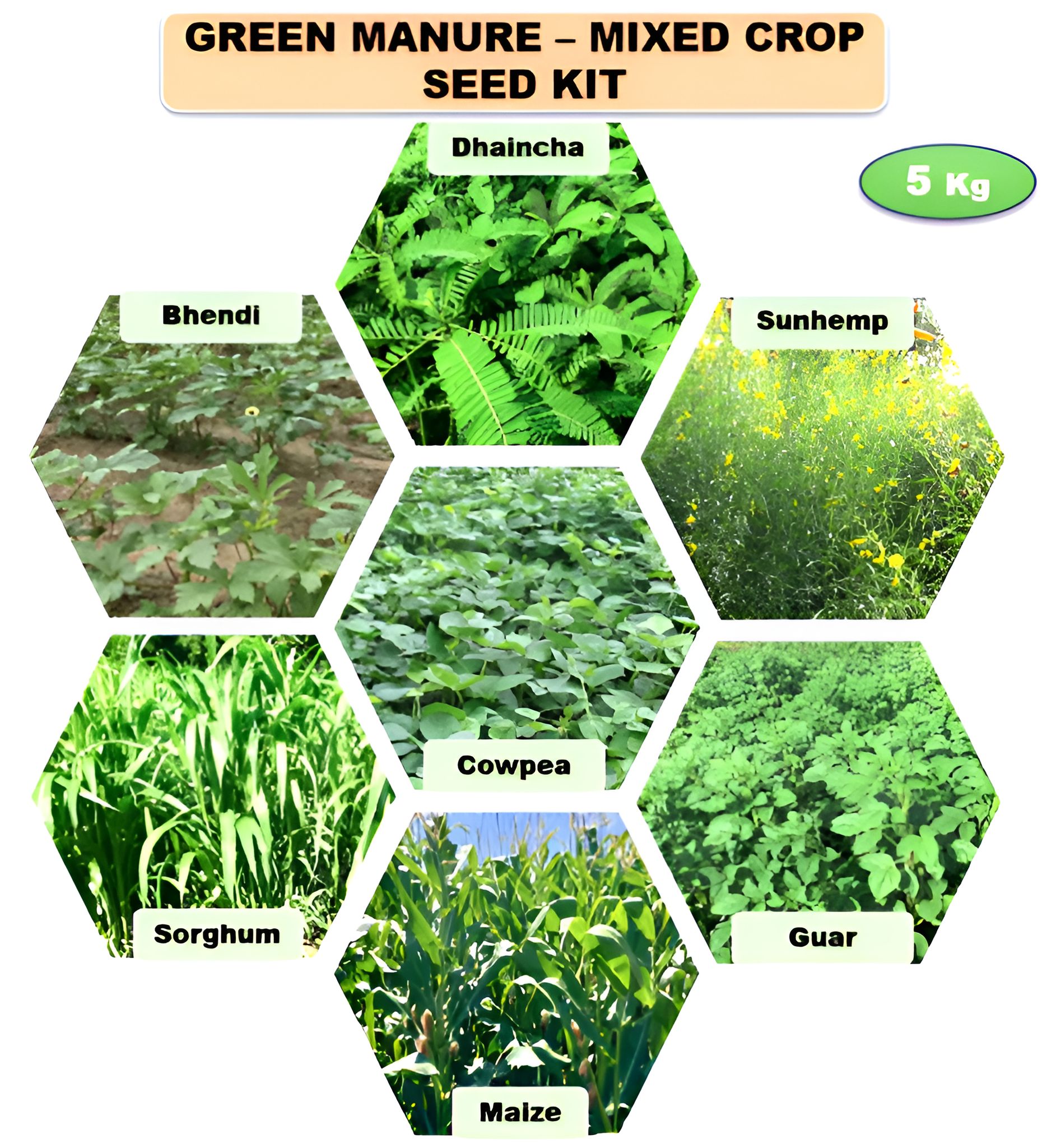 NSC Green Manure Mixed Crop Seed Kit