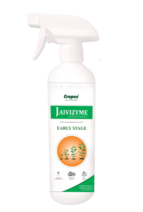 Cropex Jaivizyme Early Stage | Seaweed-Based Plant Growth Promoter for Home Gardening | Organic Liquid Tonic for Seedlings, Roots & Flowering | 500 ml