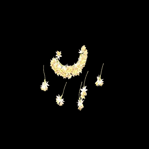 KAVALI Dried Floral Crescent with Matching Sprigs