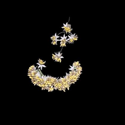 Dried Floral Crescent with Matching Sprigs