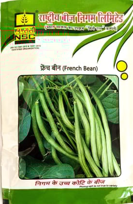 NSC French Bean Contender Variety 100 gram T/L seed