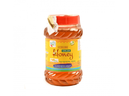 GCC Girijan Honey - Wild Collection Organic Honey from Andhra Pradesh (pack of 3)