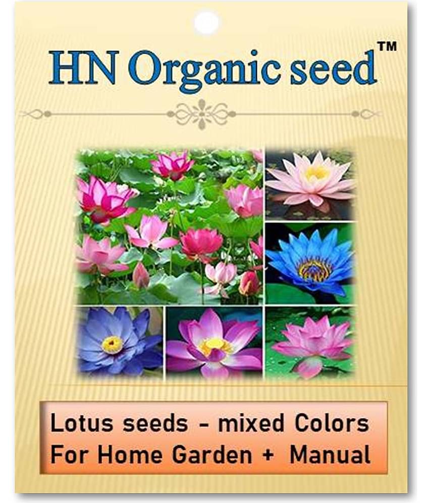 homeagro - Fruit Seeds ( Lotus seeds -mixed colours 20 seeds )