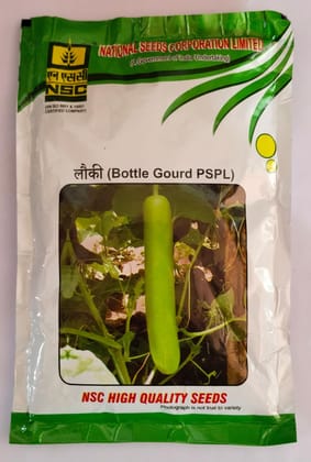 NSC BOTTLEGOURD/PSPL-100G//TL