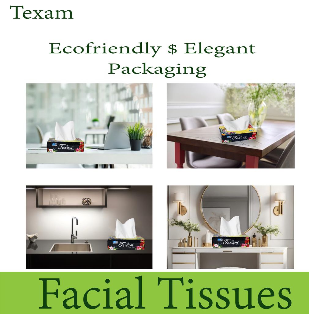 Texam 2 - Ply Facial Tissue Soft Pack – 100 Pulls (Pack of 5) | 100% Virgin Pulp | For Home, Office and Travel