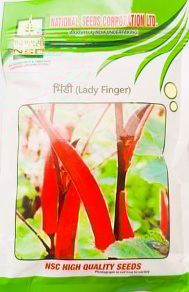 NSC Bhindi Kashi Lalima variety (2 Packets of 100 gram Each Truthful Labelled Seed)