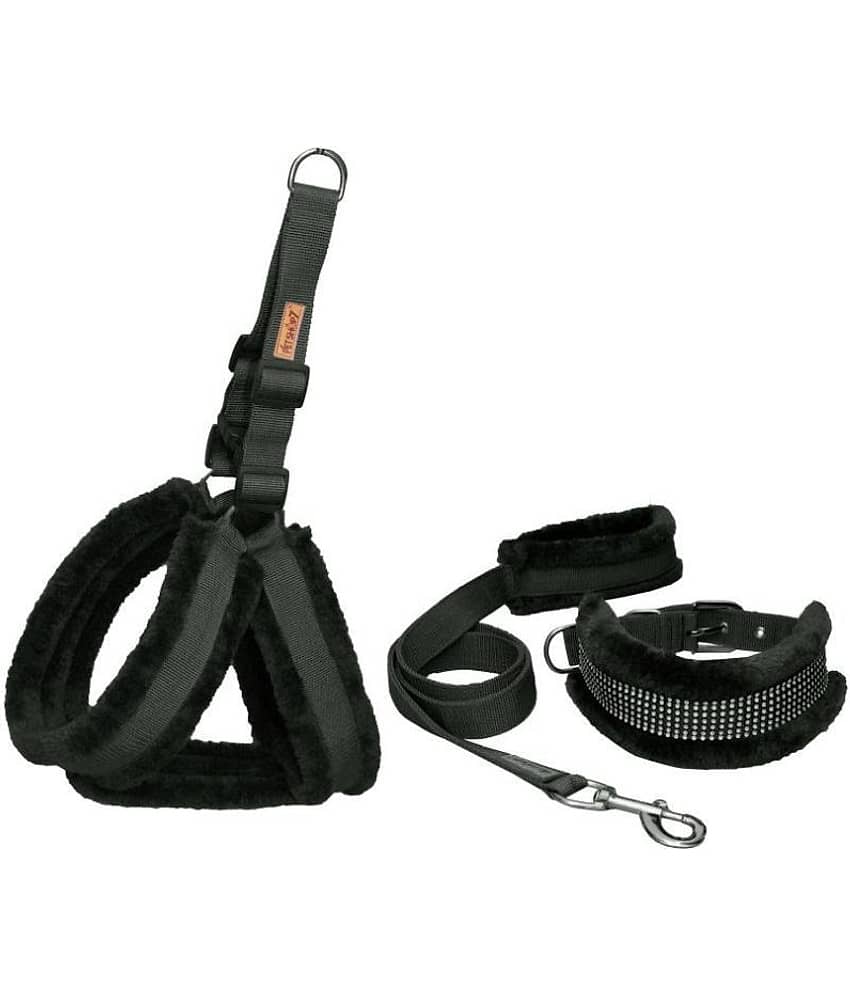 Petshop7 - Black Dog Combo (Large)
