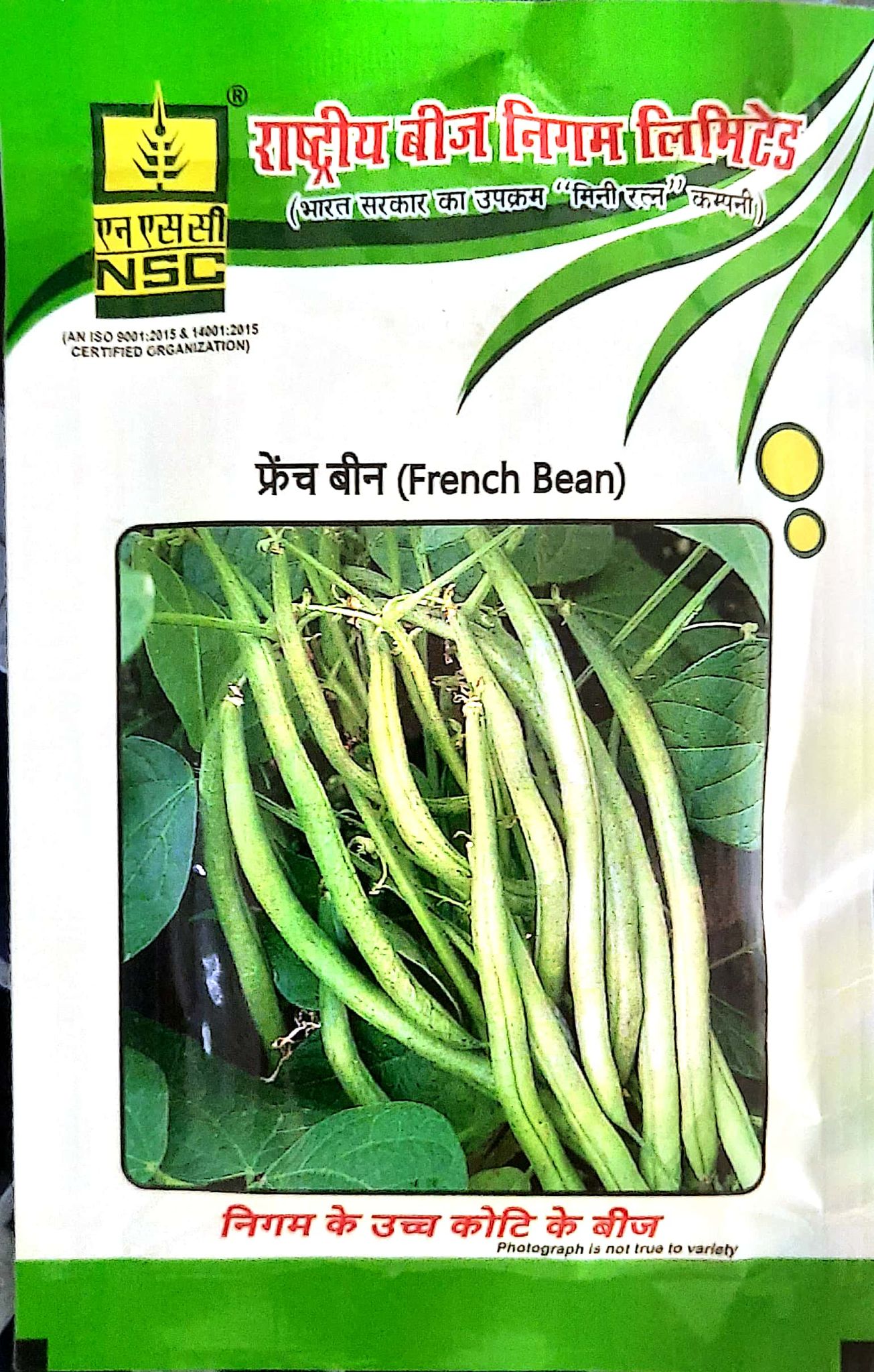 NSC French Bean Seeds - VARIETY- AK , High Yield