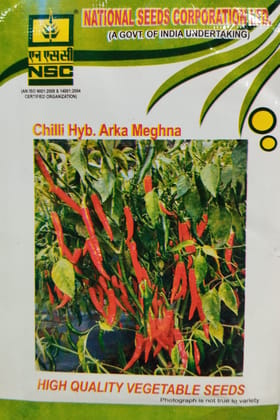 NSC Chillies Hyb. Arka Meghna