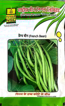 NSC French Bean Seeds - Variety - Contender,  High-Quality Vegetable Seeds