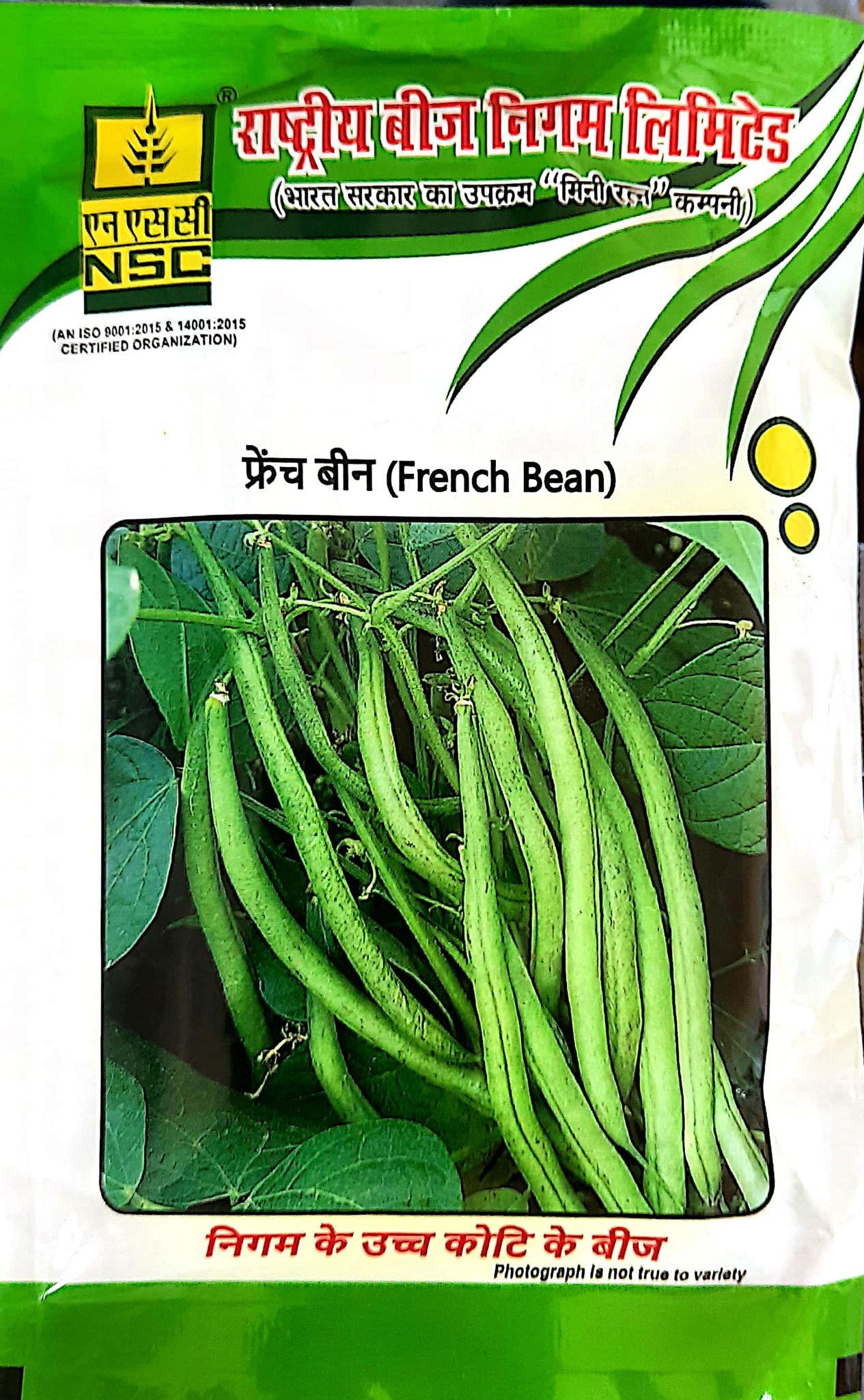 NSC French Bean Seeds - Variety - Contender,  High-Quality Vegetable Seeds