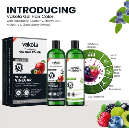 Vakola Natural Black 20 Minutes Gel Hair Color 500MLX2