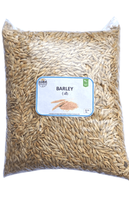 Premium Barley Grain - Wholesome & Nutritious