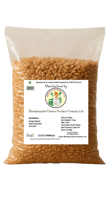 Lokwan Wheat