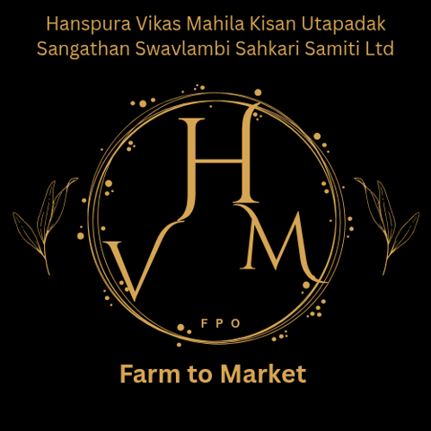 Hanspura Vikas Mahila Kisan Utapadak Sangathan Swavlambi Sahkari Samiti Ltd