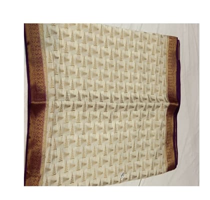 Traditional Indian Saree