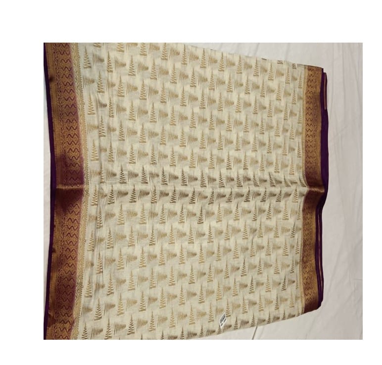 Traditional Indian Saree